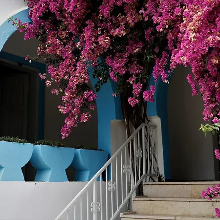 Palma Otel *