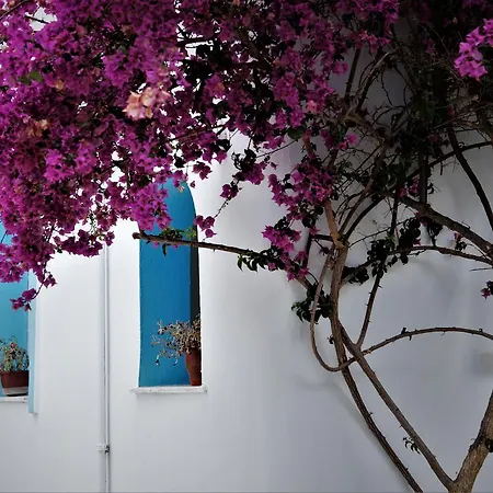 Palma Otel