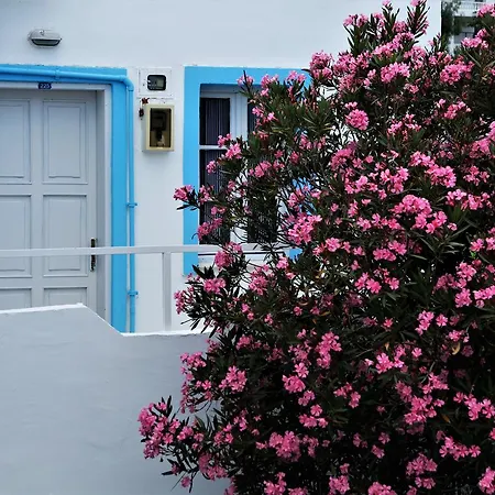 Palma Otel
