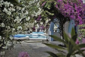 Palma 4*
